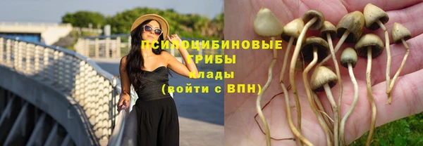 гидропоника Нефтегорск