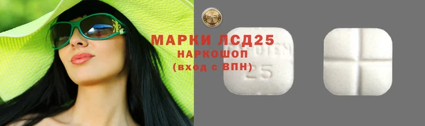 эйфоретик Алзамай