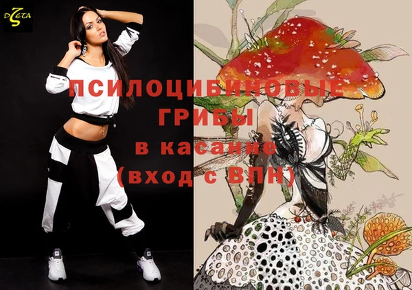 эйфоретик Алзамай
